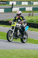 cadwell-no-limits-trackday;cadwell-park;cadwell-park-photographs;cadwell-trackday-photographs;enduro-digital-images;event-digital-images;eventdigitalimages;no-limits-trackdays;peter-wileman-photography;racing-digital-images;trackday-digital-images;trackday-photos